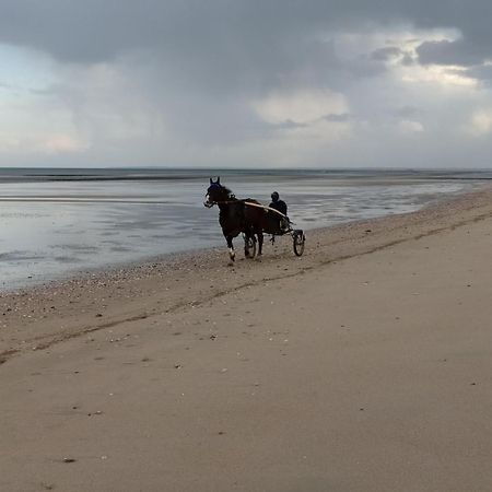 Gites "Plage" Ou "Pieds Dans L'Eau" En Front De Mer A Asnelles , 3Km D'Arromanches, 10Km De Bayeux ภายนอก รูปภาพ