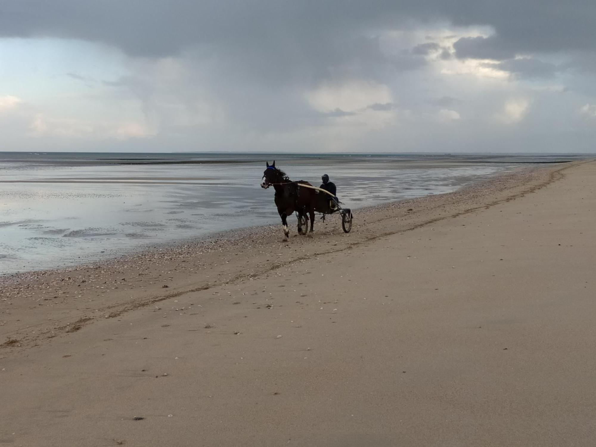 Gites "Plage" Ou "Pieds Dans L'Eau" En Front De Mer A Asnelles , 3Km D'Arromanches, 10Km De Bayeux ภายนอก รูปภาพ